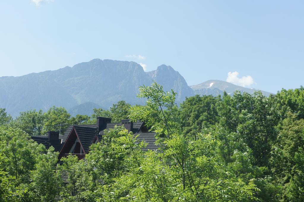 Apartamenty Stara Polana Zakopane Exterior foto
